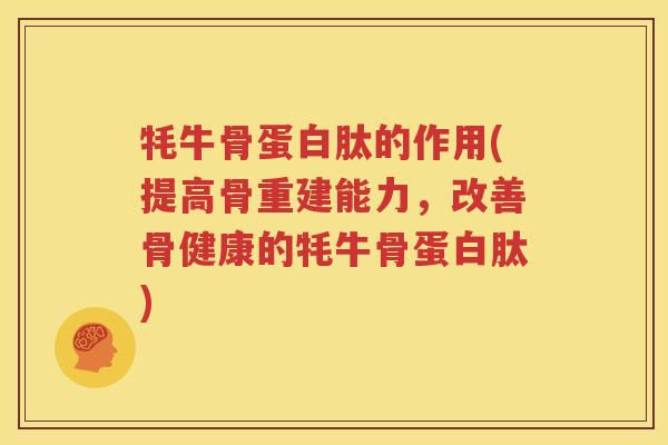 牦牛骨蛋白肽的作用(提高骨重建能力，改善骨健康的牦牛骨蛋白肽)