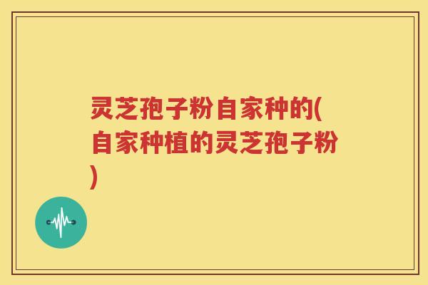 灵芝孢子粉自家种的(自家种植的灵芝孢子粉)