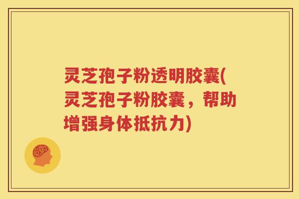 灵芝孢子粉透明胶囊(灵芝孢子粉胶囊，帮助增强身体抵抗力)