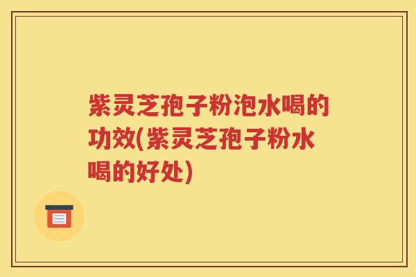 紫灵芝孢子粉泡水喝的功效(紫灵芝孢子粉水喝的好处)