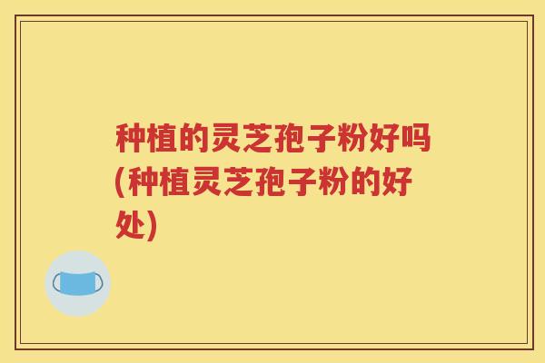 种植的灵芝孢子粉好吗(种植灵芝孢子粉的好处)