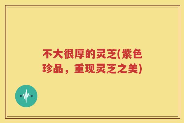 不大很厚的灵芝(紫色珍品，重现灵芝之美)