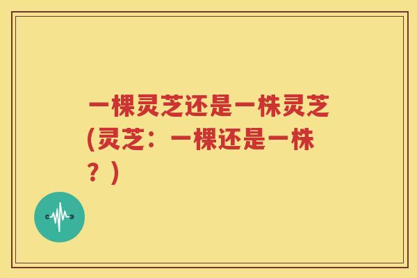 一棵灵芝还是一株灵芝(灵芝：一棵还是一株？)