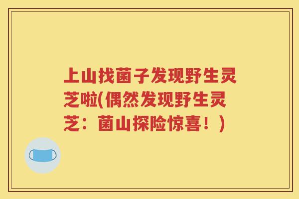 上山找菌子发现野生灵芝啦(偶然发现野生灵芝：菌山探险惊喜！)