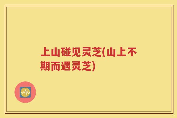 上山碰见灵芝(山上不期而遇灵芝)