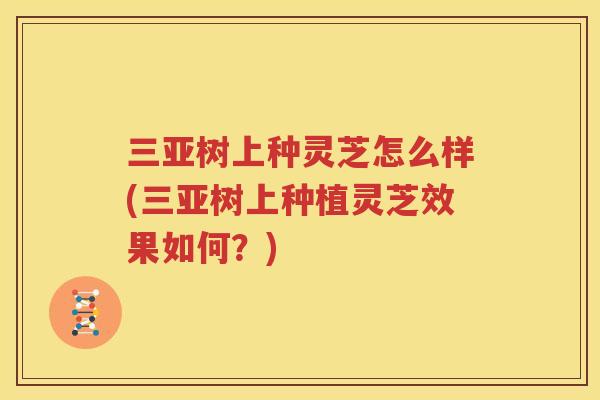 三亚树上种灵芝怎么样(三亚树上种植灵芝效果如何？)