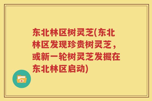 东北林区树灵芝(东北林区发现珍贵树灵芝，或新一轮树灵芝发掘在东北林区启动)