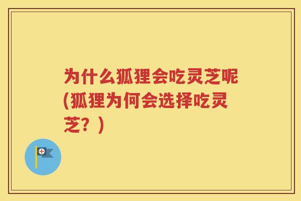 为什么狐狸会吃灵芝呢(狐狸为何会选择吃灵芝？)
