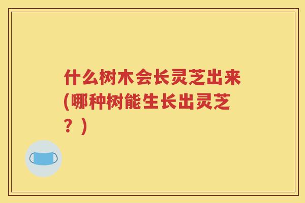 什么树木会长灵芝出来(哪种树能生长出灵芝？)