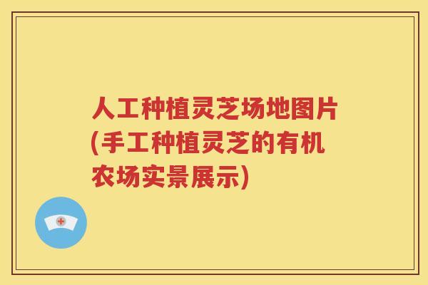 人工种植灵芝场地图片(手工种植灵芝的有机农场实景展示)