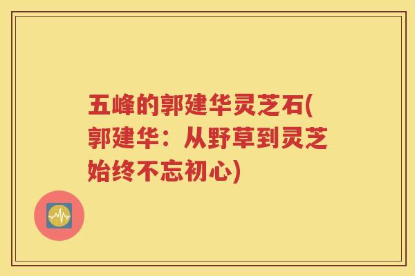五峰的郭建华灵芝石(郭建华：从野草到灵芝始终不忘初心)
