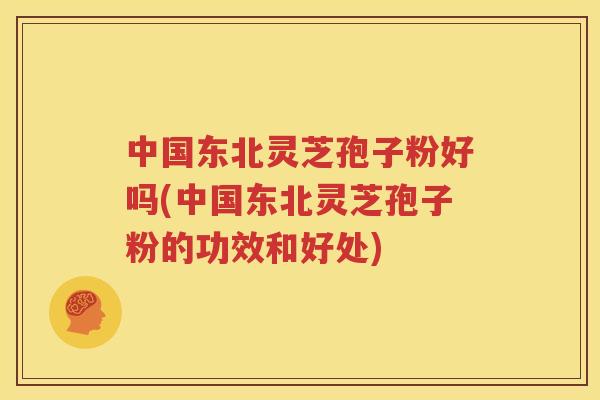 中国东北灵芝孢子粉好吗(中国东北灵芝孢子粉的功效和好处)