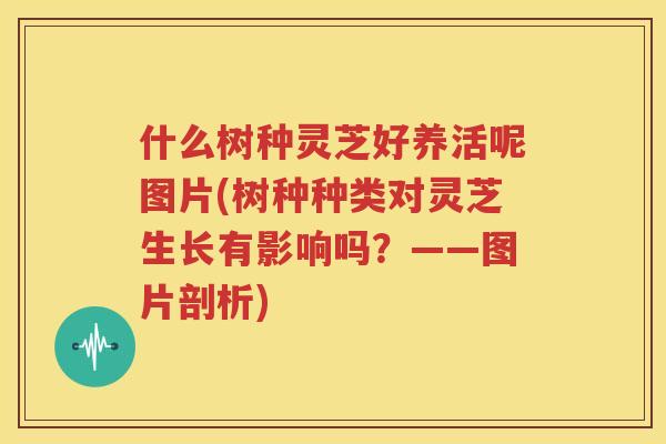 什么树种灵芝好养活呢图片(树种种类对灵芝生长有影响吗？——图片剖析)