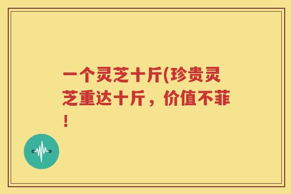 一个灵芝十斤(珍贵灵芝重达十斤，价值不菲！