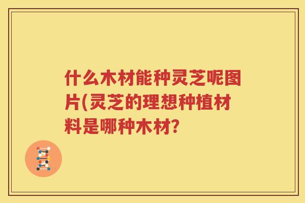 什么木材能种灵芝呢图片(灵芝的理想种植材料是哪种木材？