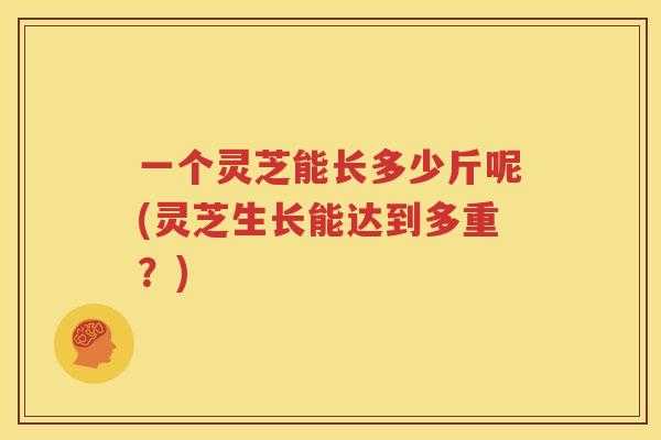 一个灵芝能长多少斤呢(灵芝生长能达到多重？)