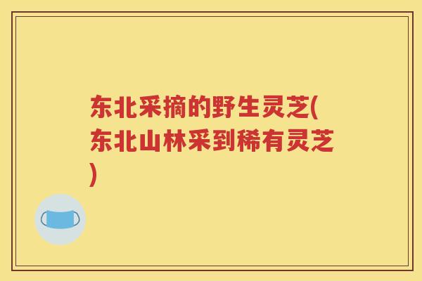 东北采摘的野生灵芝(东北山林采到稀有灵芝)