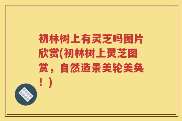 初林树上有灵芝吗图片欣赏(初林树上灵芝图赏，自然造景美轮美奂！)