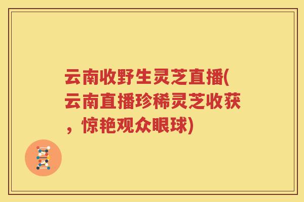 云南收野生灵芝直播(云南直播珍稀灵芝收获，惊艳观众眼球)