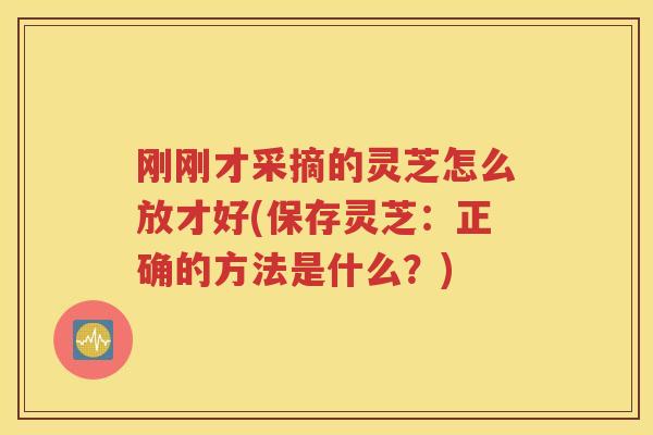 刚刚才采摘的灵芝怎么放才好(保存灵芝：正确的方法是什么？)