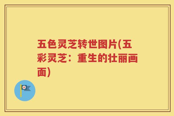 五色灵芝转世图片(五彩灵芝：重生的壮丽画面)