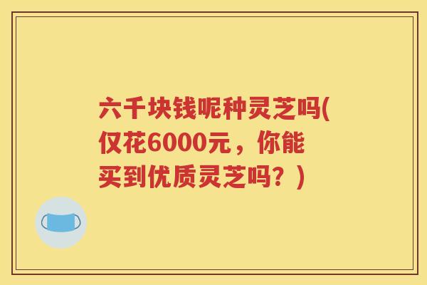 六千块钱呢种灵芝吗(仅花6000元，你能买到优质灵芝吗？)