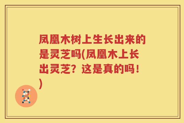 凤凰木树上生长出来的是灵芝吗(凤凰木上长出灵芝？这是真的吗！)
