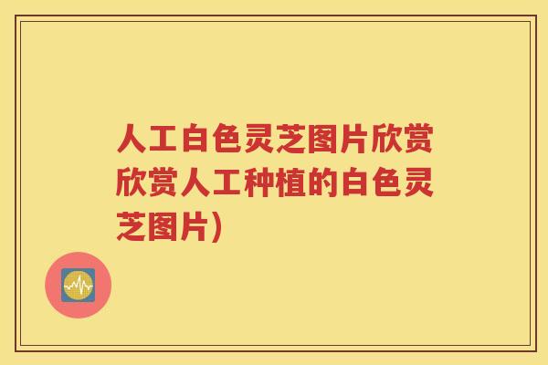 人工白色灵芝图片欣赏欣赏人工种植的白色灵芝图片)