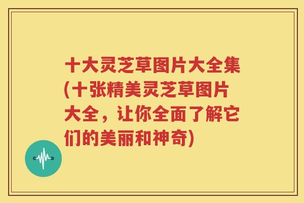 十大灵芝草图片大全集(十张精美灵芝草图片大全，让你全面了解它们的美丽和神奇)