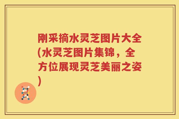 刚采摘水灵芝图片大全(水灵芝图片集锦，全方位展现灵芝美丽之姿)