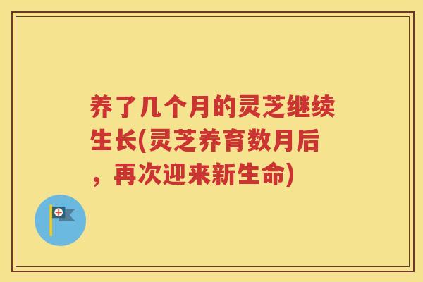 养了几个月的灵芝继续生长(灵芝养育数月后，再次迎来新生命)