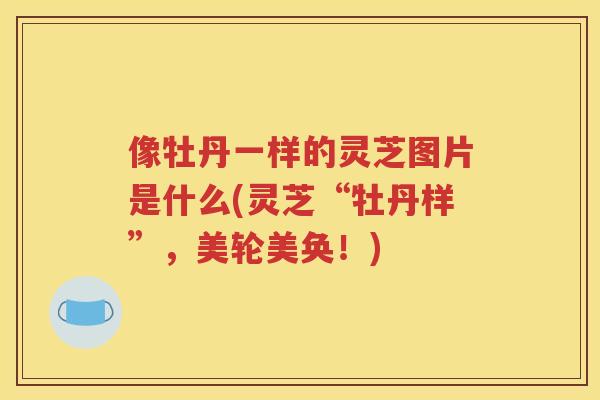 像牡丹一样的灵芝图片是什么(灵芝“牡丹样”，美轮美奂！)