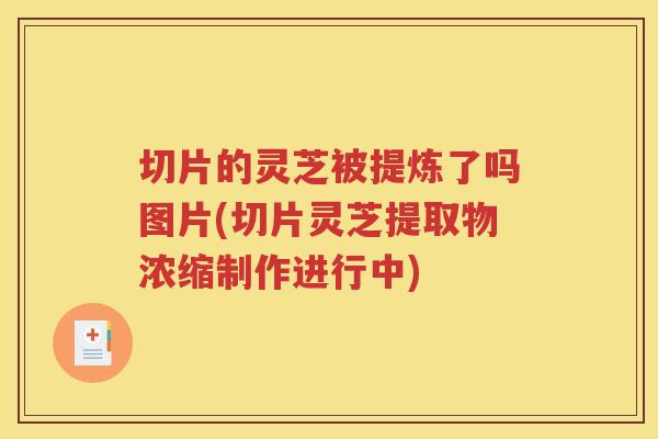 切片的灵芝被提炼了吗图片(切片灵芝提取物浓缩制作进行中)