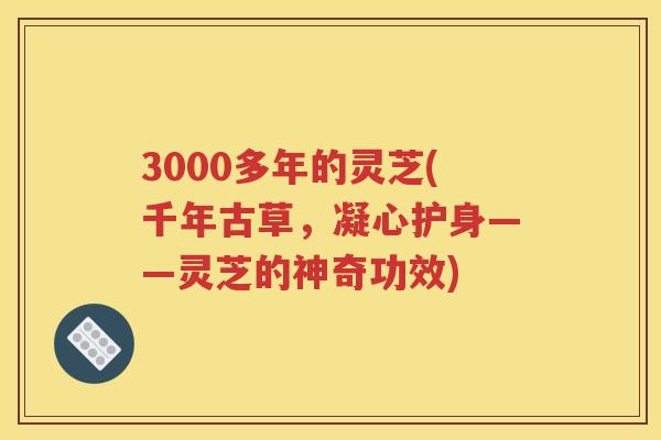 3000多年的灵芝(千年古草，凝心护身——灵芝的神奇功效)