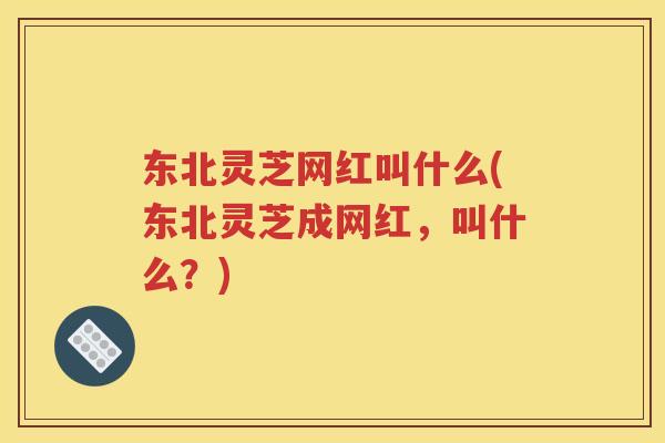 东北灵芝网红叫什么(东北灵芝成网红，叫什么？)