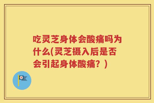 吃灵芝身体会酸痛吗为什么(灵芝摄入后是否会引起身体酸痛？)