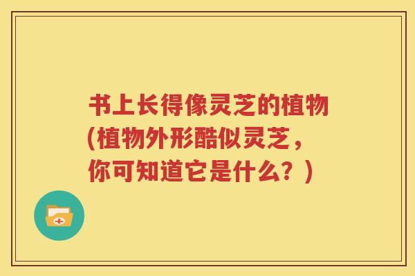 书上长得像灵芝的植物(植物外形酷似灵芝，你可知道它是什么？)