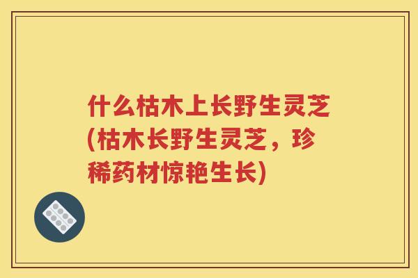 什么枯木上长野生灵芝(枯木长野生灵芝，珍稀药材惊艳生长)