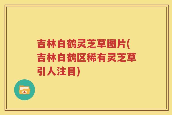 吉林白鹤灵芝草图片(吉林白鹤区稀有灵芝草引人注目)