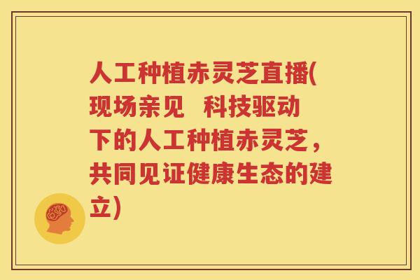人工种植赤灵芝直播(现场亲见  科技驱动下的人工种植赤灵芝，共同见证健康生态的建立)