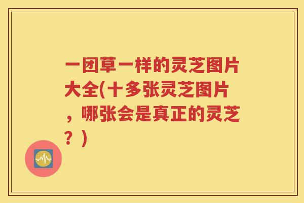 一团草一样的灵芝图片大全(十多张灵芝图片，哪张会是真正的灵芝？)