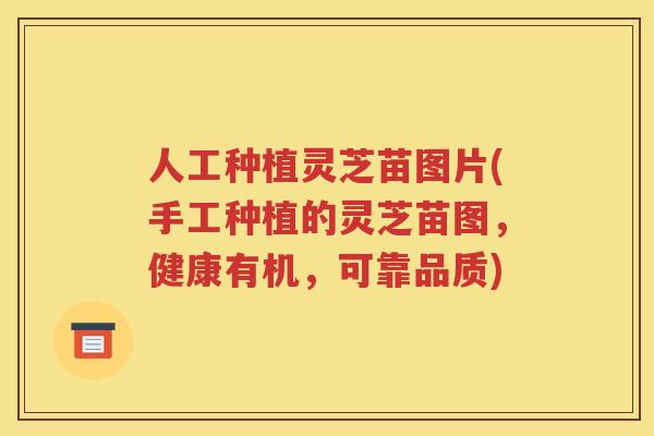 人工种植灵芝苗图片(手工种植的灵芝苗图，健康有机，可靠品质)