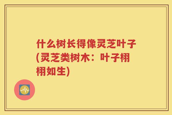 什么树长得像灵芝叶子(灵芝类树木：叶子栩栩如生)