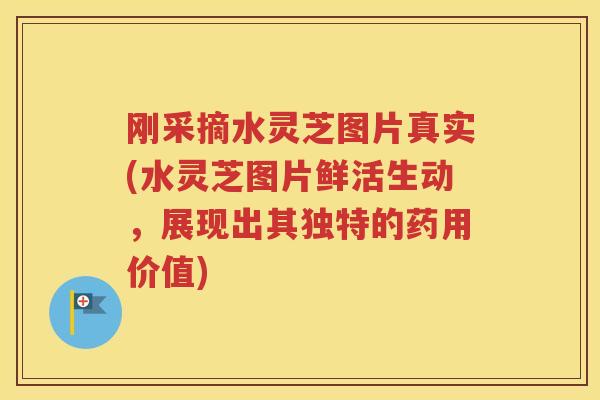 刚采摘水灵芝图片真实(水灵芝图片鲜活生动，展现出其独特的药用价值)