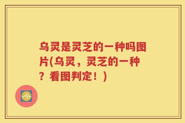 乌灵是灵芝的一种吗图片(乌灵，灵芝的一种？看图判定！)