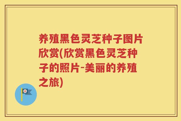 养殖黑色灵芝种子图片欣赏(欣赏黑色灵芝种子的照片-美丽的养殖之旅)