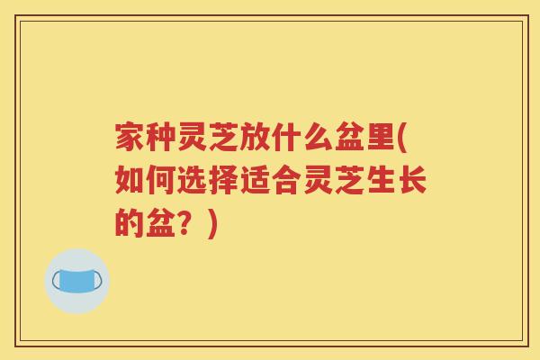 家种灵芝放什么盆里(如何选择适合灵芝生长的盆？)
