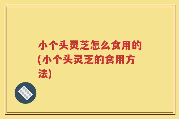 小个头灵芝怎么食用的(小个头灵芝的食用方法)