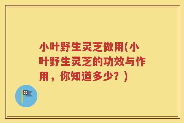小叶野生灵芝做用(小叶野生灵芝的功效与作用，你知道多少？)
