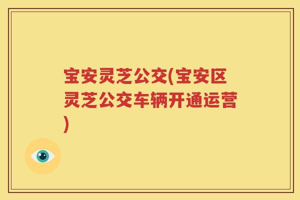 宝安灵芝公交(宝安区灵芝公交车辆开通运营)